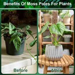 6Pcs Moss Poles with Tie 23.6 Inch Plastic Plant Pole Stick Plant Support Garden Tools for Garden Backyard Potted Climbing Plant