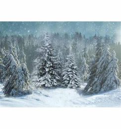 Falling Snowflake Christmas Pography Backdrop Vinyl Fabric Grey Sky Pine Trees Forest Outdoor Scenic Winter Snow Po Studio B6495724137648