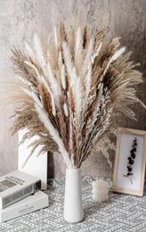 80PCS Natural Dried Flowers Pampa Grass Bouquet Boho Home Decor PhragmitesWedding Ramadan Decoration Mariage Flores Secas8063264