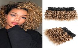 1B 27 Ombre Honey Blonde Deep Curly Hair Bundles 10 12 14inch 3 Bundles Brazilian water Wave Hair Remy Human Hair Extensions Whole1654001