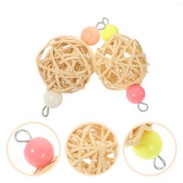 Other Bird Supplies 2 Pcs Parrot Chew Toy Parakeet Wear-resistant Molar Biting Funny Wooden Hanging