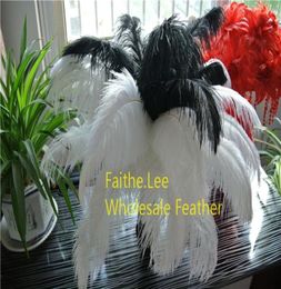 200pcslot 1416inch 3540cm black and white Ostrich Feather plumes for wedding Centrepiece wedding party table centerpiece7624507