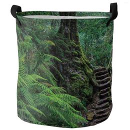 Laundry Bags Big Roots Steps Green Forest Dirty Basket Foldable Waterproof Home Organiser Clothing Children Toy Storage
