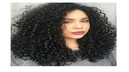 fashion women brazilian Hair afro kinky curly wig Simulation human hair kinky curly full wig in stock6119599