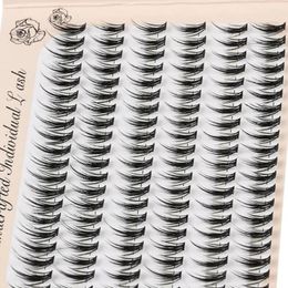 False Eyelashes 120 Clusters Natural Volume Little Devils Lashes DIY Extension Segmented Mink 0.07mm C Curl 9/10/11/12mm