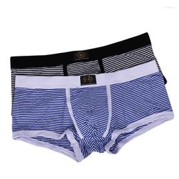 Underpants Underwear Boxer Male Panties Sexy Boxers Shorts Men Cotton For Man Homme Brave Person Panty Low Waist S M L