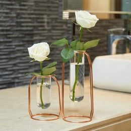 Vases Nordic Creative Vase Home Decor Golden Glass Hydroponic Plant Holder Iron Line Flower Ornament Garden Decoration