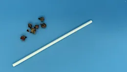 Disposable Cups Straws Paper Straw 25Pcs Eco-Friendly For Bar Canteen El Support Customised White