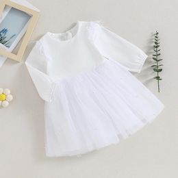 Girl Dresses Baby Girls Casual Dress Long Sleeve Crew Neck Feather Pearls Patchwork Tulle Princess Streetwear Daily