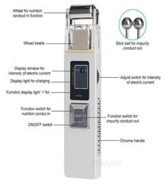 Microcurrent Galvanic Facial Massager Anti Aging Reduce Wrinkle Skin Tightening Face Lift Firming Machine Home Spa Use 2205204183681