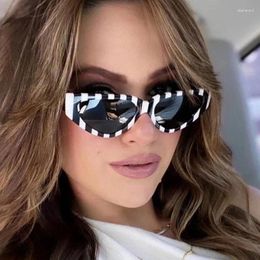 Sunglasses 2024 Cat Eye Women Designer Sexy Triangle Sun Glasses For Female Fashion Small Frame Sunglass UV400