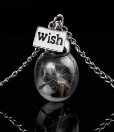 Glass bottle necklace Natural dandelion seed in glass long necklace Make A Wish Glass Bead Orb silver plated Necklace Jewellery G1253661316