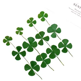 Decorative Flowers 120pcs Dyed Green Pressed Dried 4-Leaf Leaves Lucky Leaf Plant Herbarium For Jewellery Phone Case Bookmark Postcard