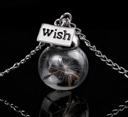 Glass bottle necklace Natural dandelion seed in glass long necklace Make A Wish Glass Bead Orb silver plated Necklace Jewellery G1256579055