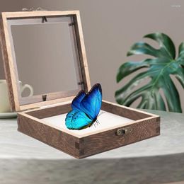 Frames Butterfly Specimen Display Box Wooden Storage Case Wall Adornment Holder Cloth Frame Insect Decoration