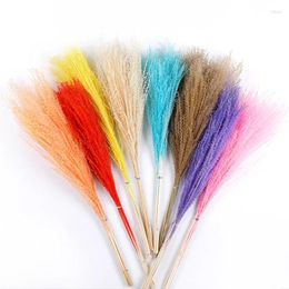 Decorative Flowers 10Pcs /Lot Real Flower Reed Grass Natural Dried Small Pampas For Home Decor Office Decoration Primary Color White