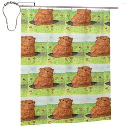 Shower Curtains Groundhog Day Curtain For Bathroon Personalized Funny Bath Set With Iron Hooks Home Decor Gift 60x72in