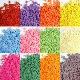 100g/Lot Colourful Artificial Crumbs None Regular Shaped Polymer Clay Slices Sprinkles for DIY Crafts Bread and Cake Decoration