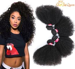 9A Brazilian Afro Kinky Curly Hair Bundles Mink Brazilian Curly Virgin Human Hair Extensions Afro Kinky Curly Weaves Gaga Queen Ha4074101