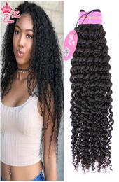 Brazilian Human Hair Kinky Curly Weave Natural Color 1B Virgin Human Hair Bundle Hair Weft Can be Dyed Queen Hair Official Store7919731