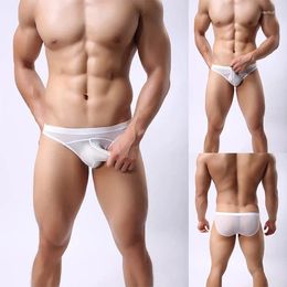 Underpants Men's Underwear Ultrathin Breathable Mesh Briefs Elephant Nose Low Waist Sexy Pants