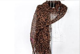 Whole female scarf warm High quality Designer scarves winter Leopard print Cotton Yarn Scarf shawl 20090CM7306170