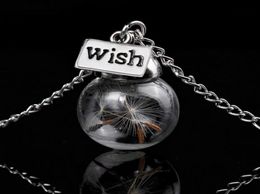 Glass bottle necklace Natural dandelion seed in glass long necklace Make A Wish Glass Bead Orb silver plated Necklace jewelry G1252592680