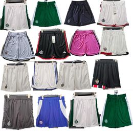 2024 2025 flamengo soccer shorts Palmeiras 24 25 flamenco home away third Football pants fans version mens PEDRO DIEGO GERSON GABI LORRAN PULGAR ENDRICK DUDU RONY