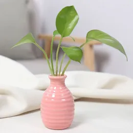 Vases Hydroponic Design Desktop Vase Cute Simple Style Ceramic Samll Mini Garden Plant Flowerpot Living Room