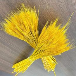 Decorative Flowers 50PCS Dried Wheat Stalks Ear Flower Golden Natural Bouquets For Souvenirs Wedding Guests Birthday Decoration Pam