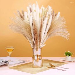 Decorative Flowers Natural Fluffy Small Pampas Grass Tail Dried Flower 30pcs Bouquet Gift Wedding Christmas Party Decoration