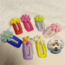 New Dog BB Clip Pet Flower Hairpin Mini Ground Yorkshire Than Bear Bowknot Cat Hair Clip Comb Pet Grooming Head Accessory 4PCS