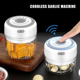 Mixers 100/250mL Mini Electric Garlic Chopper Vegetable Chili Meat Ginger Masher Machine USB Charging Kitchen Garlic Crusher Blenders