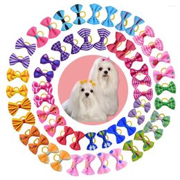 Dog Apparel 100PCS Grooming Bows Pet Cat Hair Rubber Bands Accessories Supplies For Samll Dogs