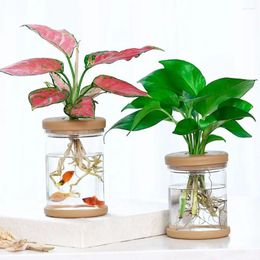 Vases Tabletop Ornament Office Ornaments Plant Flower Pot Plastic Vase Hydroponic Arrangement