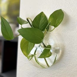 Wall Hanging Hydroponic Glass Flowerpot, Transparent Half Globe Shape Glass Vase Plant Container, Fish Tank, Crafts, Home Decor