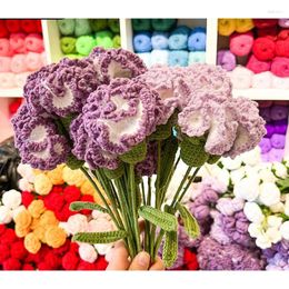 Decorative Flowers Handwoven Wool Finished Product Eternal Flower Carnation Simulation Holiday Creative Gift