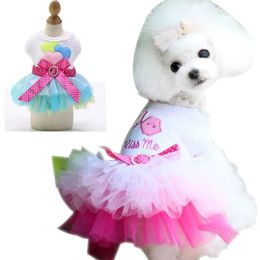 Dog Summer Dress Cat Lace Skirt Pet Clothing Chihuahua Stripe Puppy Princess Apparel Cute Clothe Accessories 240411
