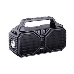 Bluetooth Audio Outdoor Professional Portable High Volume Karaoke Wireless Ficklight Högtalare