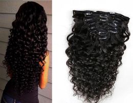 Brazilian Curly Clip in Extensions 100g Brazilian Deep Curly Hair Clip ins 7pcs/lot3938723