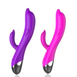 Rechargeable Silicone Wind Thunder Dolphin Double Motor Vibration and Provocative sexy Products Female Appliances Adult sexy Toy