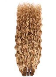 brazilian curly virgin human hair weave 1pcs double weft quality,no shedding, free1121538