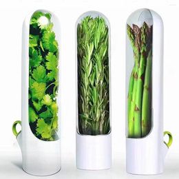 Storage Bottles Vanilla Crisper Box Vegetable Anti-Crush Damage Asparagus Preservation Cup Multifunctional Fresh-keeping