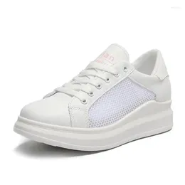 Casual Shoes 2024 Spring/Summer Women's Board Student Small White Low Top Mesh