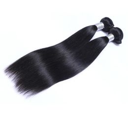 Brazilian Virgin Human Hair Straight Unprocessed Remy Hair Weaves Double Wefts 100gBundle 2bundlelot Can be Dyed Bleached5606288