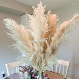 Decorative Flowers Large Fluffy Natural Pampas Grass Dried Flower Boho Home Bedroom Vase Wedding Arch Flores Arrangement Decoration