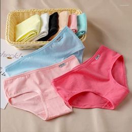 Women's Panties Candy Color Comfortable High Quality Cotton Underwear Mid Waist Ureathable Large Size Briefs