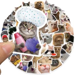 50pcs adesivos de gato fofos vinil impermeável gatos engraçados decalques para laptop skateboard de laptop berros de laptop bregagem Kids Toys