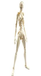 Special Full Action Type3 SFBT3 29cm Jointed Figure Body Module Collection Gifts H22040875453663785617