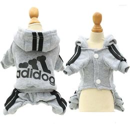 Dog Apparel Pet Clothes Spring Hoodies Coat Letter Cute Small Dogs Chihuahua Pug Yorkshire Puppy Hoodie Cat Clothing XXL